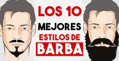 ¿Cuál es la barba Balbo?