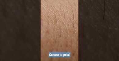 Ejercicios que ayudan con la folículos pilosos